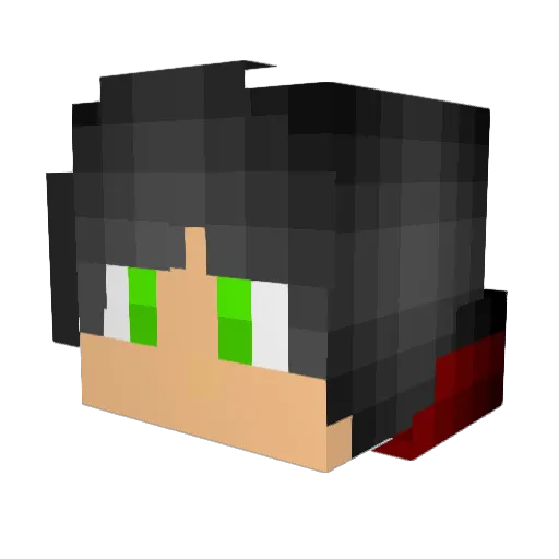 Scrubble012 Minecraft avatar head, 3D render