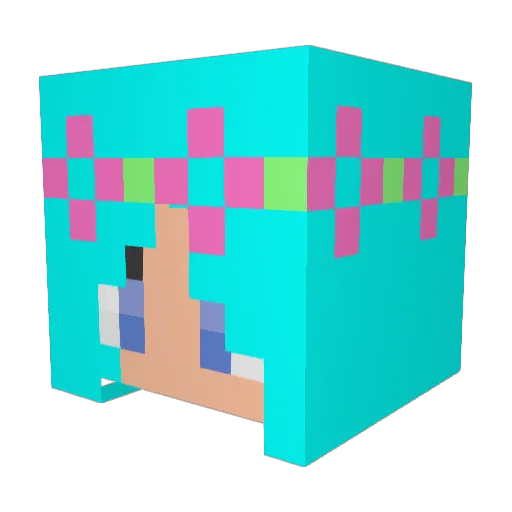 Scruboomerang Minecraft avatar head, 3D render