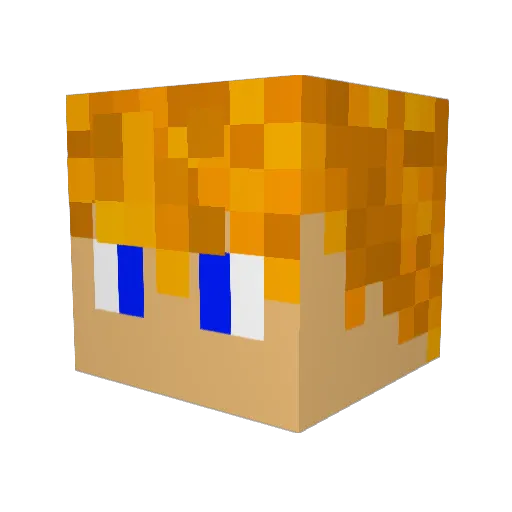 Scrubs2Lit Minecraft avatar head, 3D render