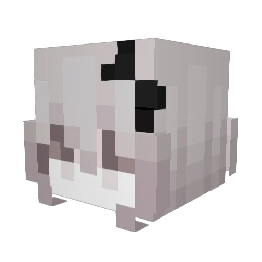 ScruffPig Minecraft avatar head, 3D render