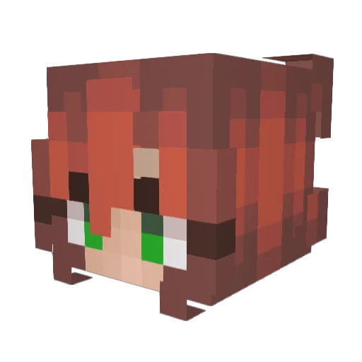Scruffy545 Minecraft avatar head, 3D render