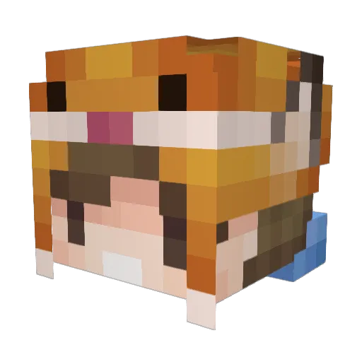 ScruffyFox Minecraft avatar head, 3D render