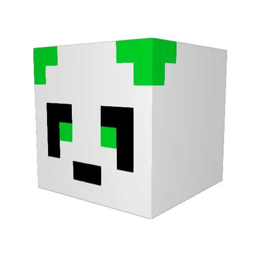 Scruffy_Duck Minecraft avatar head, 3D render