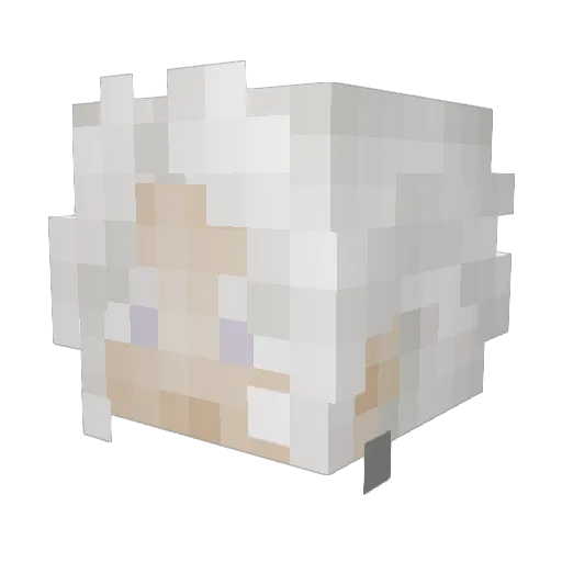 Scrumbo911 Minecraft avatar head, 3D render