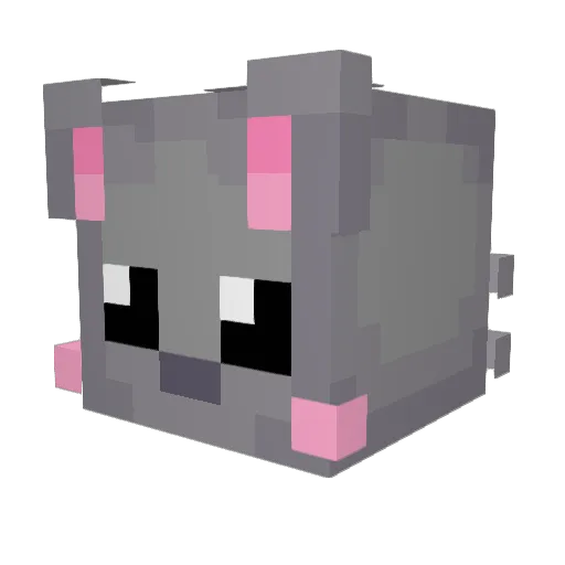 ScrumptiousMeow Minecraft avatar head, 3D render