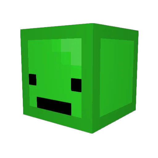 Scrungus__Bungus Minecraft avatar head, 3D render