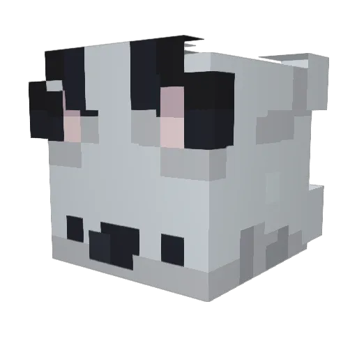 Scttydsntknw Minecraft avatar head, 3D render