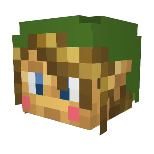 ScubaSean Minecraft avatar head, 3D render