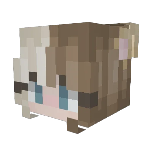 ScuffedToast Minecraft avatar head, 3D render