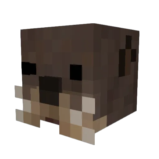Scwry Minecraft avatar head, 3D render