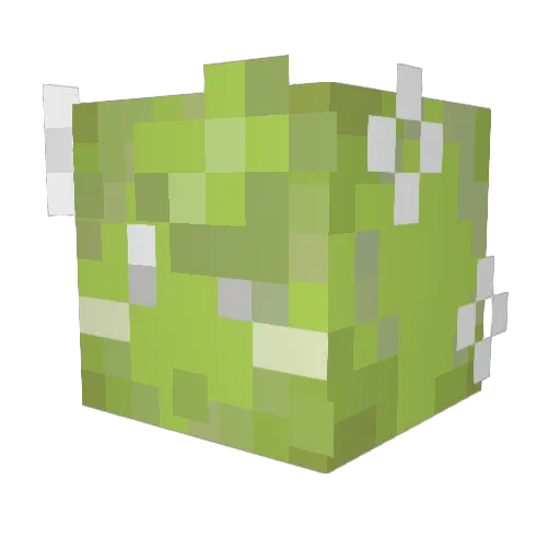 SdV_ Minecraft avatar head, 3D render