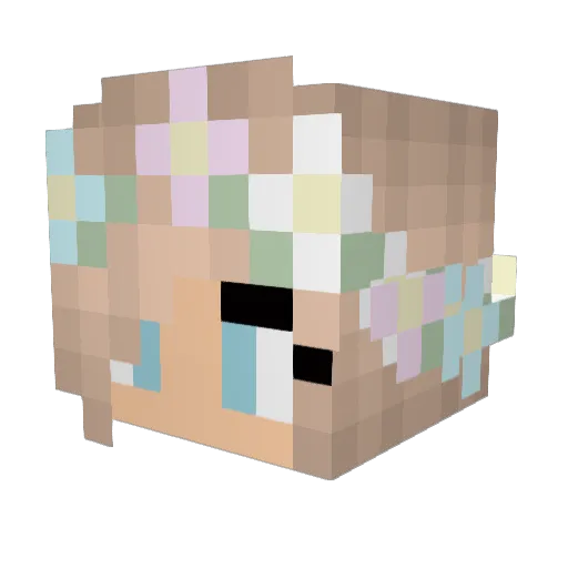 SdeemXD Minecraft avatar head, 3D render