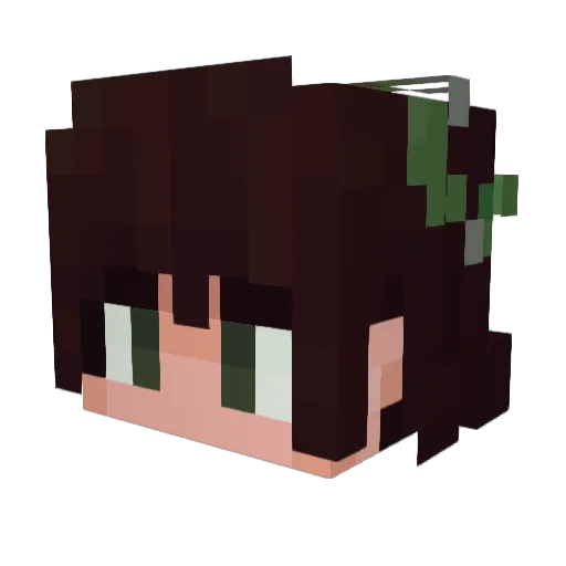 Sdegel Minecraft avatar head, 3D render