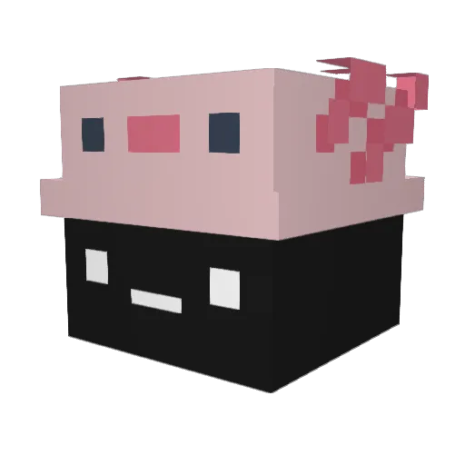 Sdrooo Minecraft avatar head, 3D render