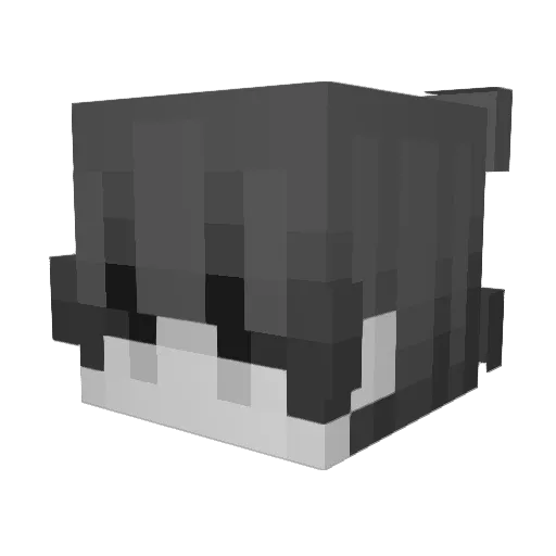 Se1nem Minecraft avatar head, 3D render