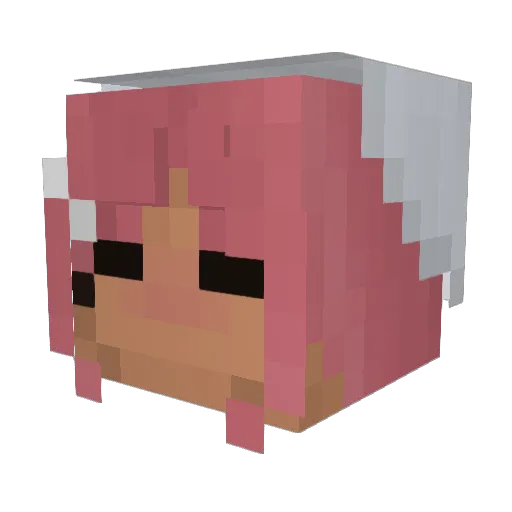 SeBax101 Minecraft avatar head, 3D render