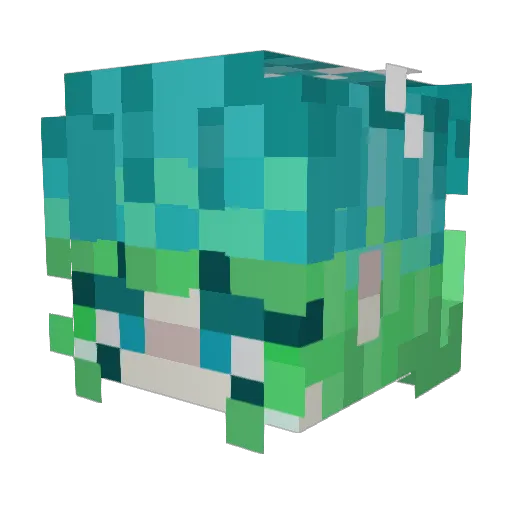 SeCat86 Minecraft avatar head, 3D render