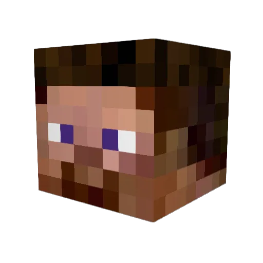 SeCoNdBroSers Minecraft avatar head, 3D render