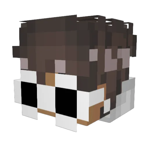 SeFFPlays0507 Minecraft avatar head, 3D render