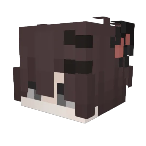 SeL1kS Minecraft avatar head, 3D render
