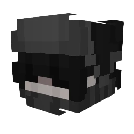 SeLa2980 Minecraft avatar head, 3D render