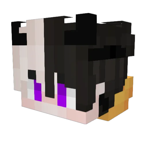 SeMpAi98 Minecraft avatar head, 3D render