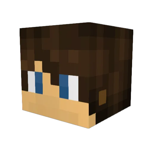 SeW1994 Minecraft avatar head, 3D render