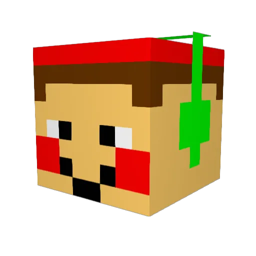 SeWiSH Minecraft avatar head, 3D render