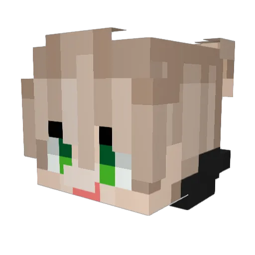 Se_Sang Minecraft avatar head, 3D render