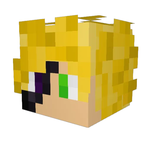 Se_bas_ti_an Minecraft avatar head, 3D render