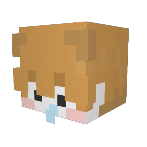 Se_jin1542 Minecraft avatar head, 3D render