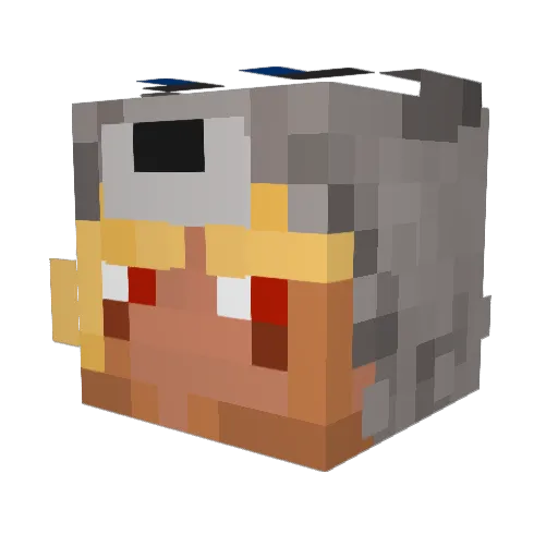 SeaArtifact2549 Minecraft avatar head, 3D render