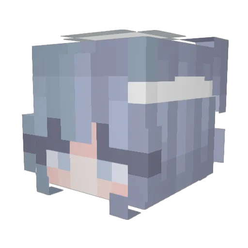 SeaB1te Minecraft avatar head, 3D render