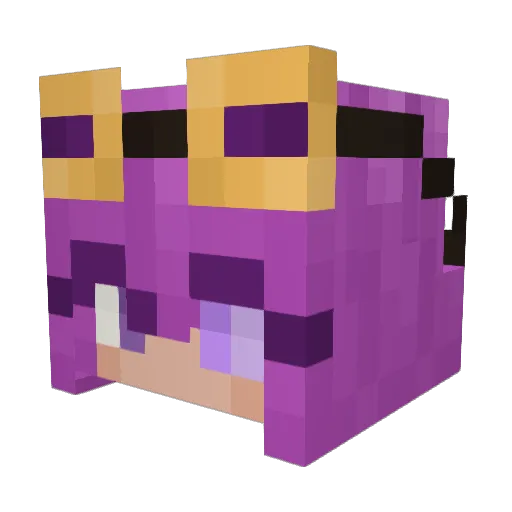 SeaBee404 Minecraft avatar head, 3D render