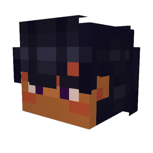 SeaBunny6789 Minecraft avatar head, 3D render