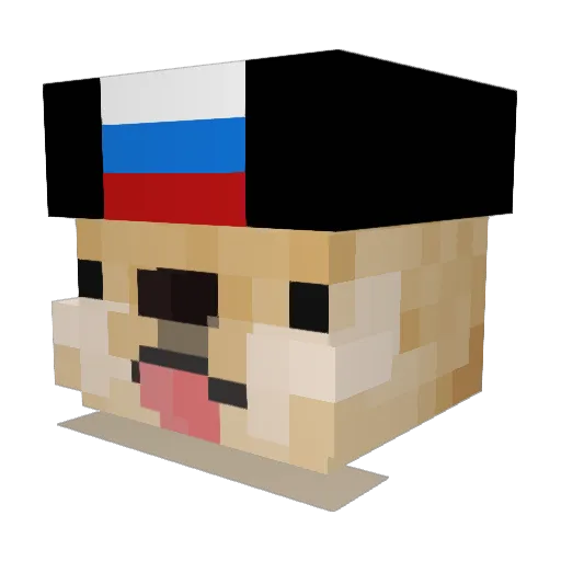 SeaCash Minecraft avatar head, 3D render