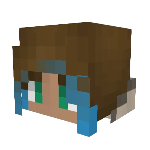 SeaCat76 Minecraft avatar head, 3D render
