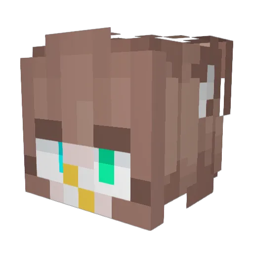 SeaCrash7 Minecraft avatar head, 3D render