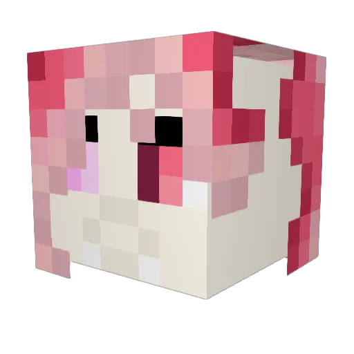 SeaGnash Minecraft avatar head, 3D render