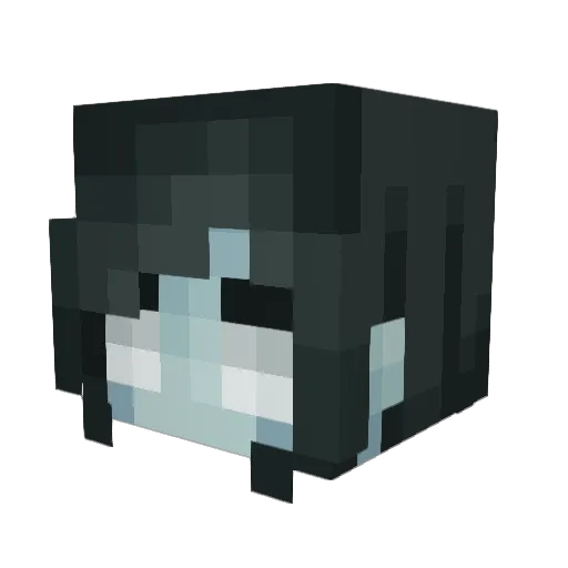 SeaJae913 Minecraft avatar head, 3D render
