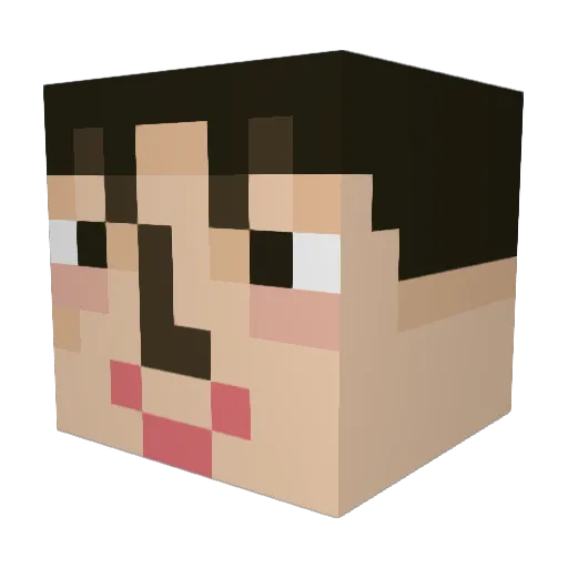 SeaLion_love Minecraft avatar head, 3D render