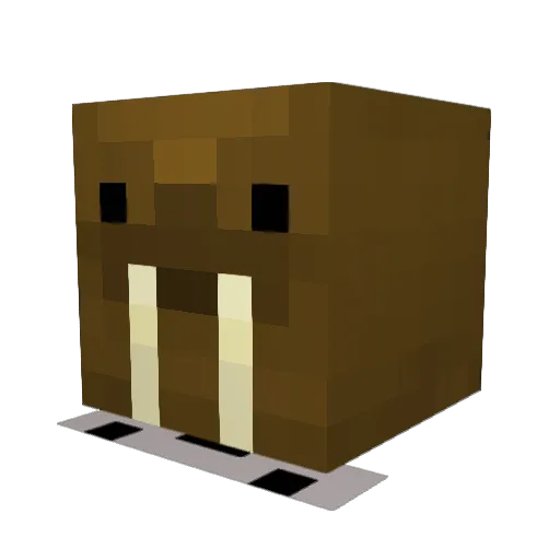 SeaMonkey9600 Minecraft avatar head, 3D render