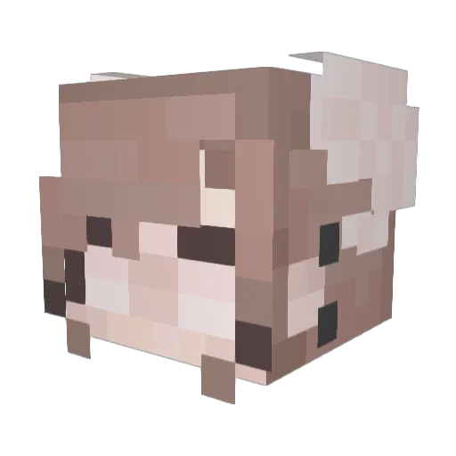 SeaMuffinZ Minecraft avatar head, 3D render