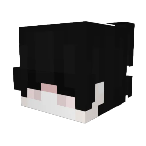 SeaOfButterflies Minecraft avatar head, 3D render
