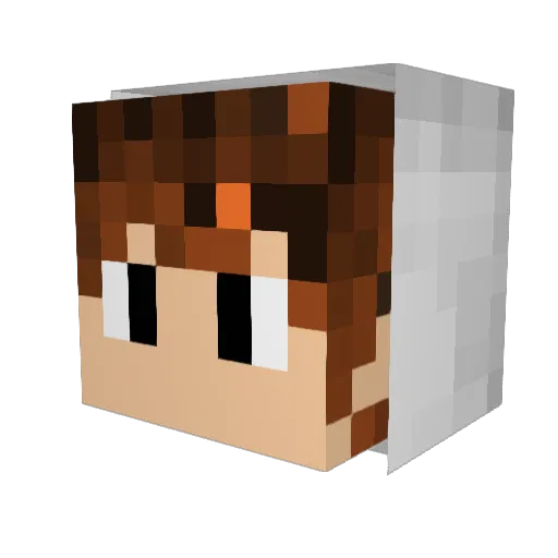SeaSalt0018 Minecraft avatar head, 3D render