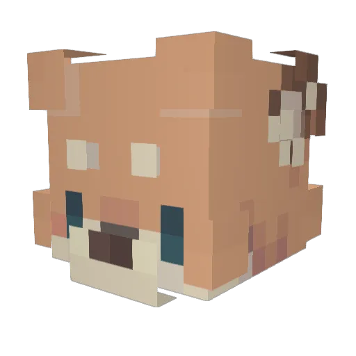 SeaSeeker54O421 Minecraft avatar head, 3D render