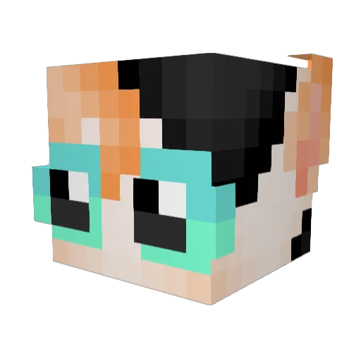 SeaSorensCall Minecraft avatar head, 3D render