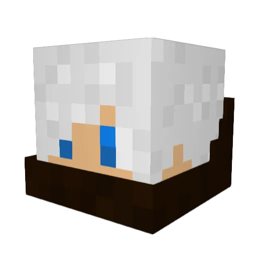 SeaSpace Minecraft avatar head, 3D render