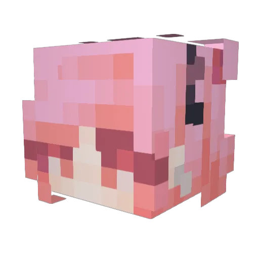 SeaTortuga Minecraft avatar head, 3D render