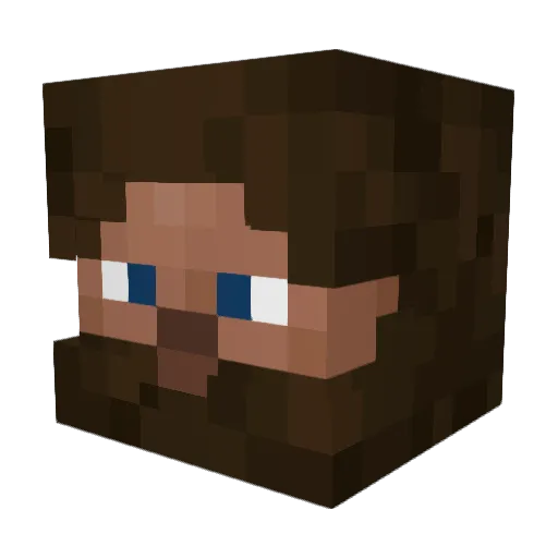 SeaTrout1382708 Minecraft avatar head, 3D render